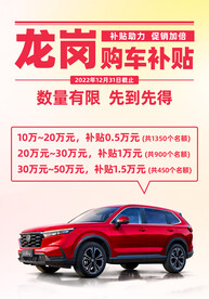 政府补贴补助购车促销