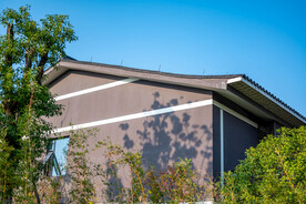 公园风景 园林风景 