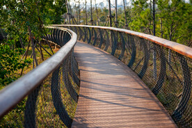 公园风景 园林风景