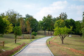 公园风景 园林风景