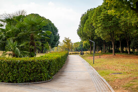 公园风景 园林风景 