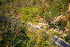 公园风景 园林风景 