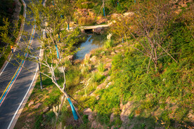 公园风景 园林风景 