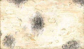 背景    肌理  底纹  木