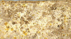 背景    肌理  底纹  木