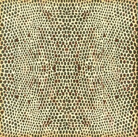 背景  格子  花纹  肌理 