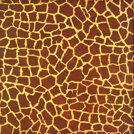 背景  格子  花纹  肌理 