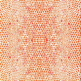 背景  格子  花纹  肌理 