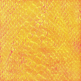 背景  格子  花纹  肌理 