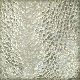 背景  格子  花纹  肌理 