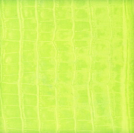 背景  格子  花纹  肌理 