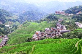 龙胜龙脊梯田风光