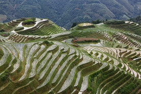 龙胜龙脊梯田风光