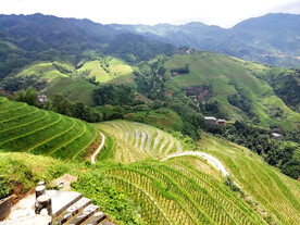 龙胜龙脊梯田风光