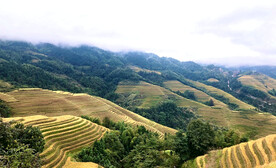 龙胜龙脊梯田风光