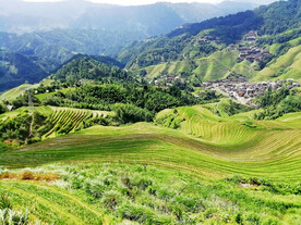 龙胜龙脊梯田风光