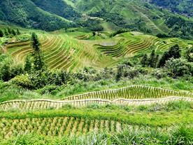龙胜龙脊梯田风光