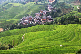 龙胜龙脊梯田风光
