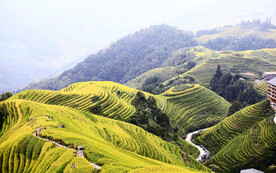 龙胜龙脊梯田风