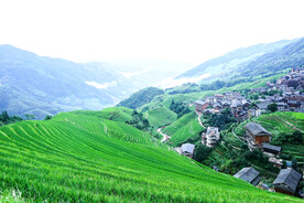 龙胜龙脊梯田风光
