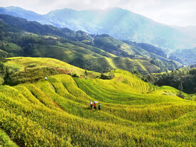龙胜龙脊梯田风光