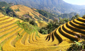 龙胜龙脊梯田风光