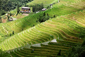 龙胜龙脊梯田风光