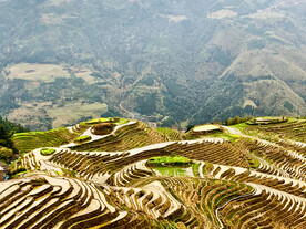 龙胜龙脊梯田风光