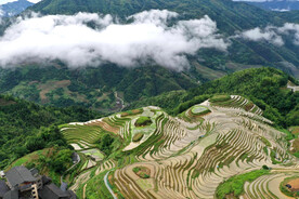 龙胜龙脊梯田风光