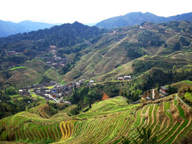 龙胜龙脊梯田风光