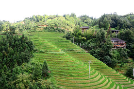 龙胜龙脊梯田风光