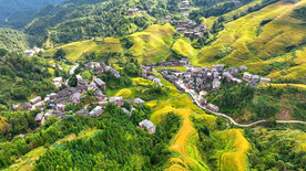 龙胜龙脊梯田风光