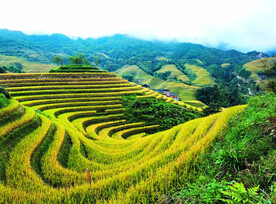 龙胜龙脊梯田风光