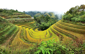 龙胜龙脊梯田风光