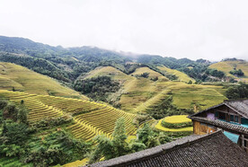 龙胜龙脊梯田风光