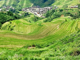 龙胜龙脊梯田风光