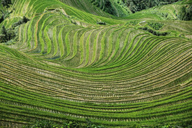 龙胜龙脊梯田风光