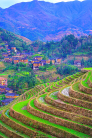 龙胜龙脊梯田风光
