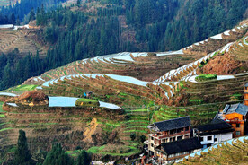 龙胜龙脊梯田风光