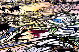 元阳哈尼梯田风光