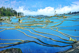 元阳哈尼梯田风光