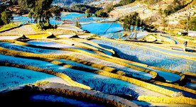 元阳哈尼梯田风光