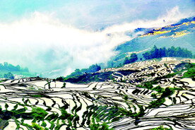 元阳哈尼梯田风光