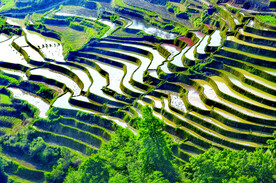 元阳哈尼梯田风光