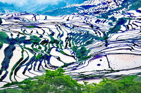 元阳哈尼梯田风光