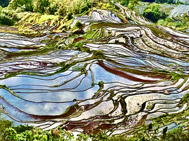 元阳哈尼梯田风光