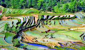 元阳哈尼梯田风光