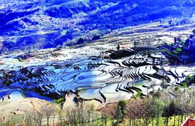 元阳哈尼梯田风光