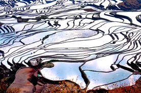 元阳哈尼梯田风光