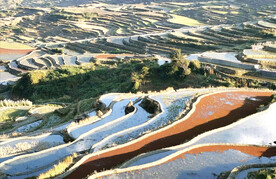 元阳哈尼梯田风光